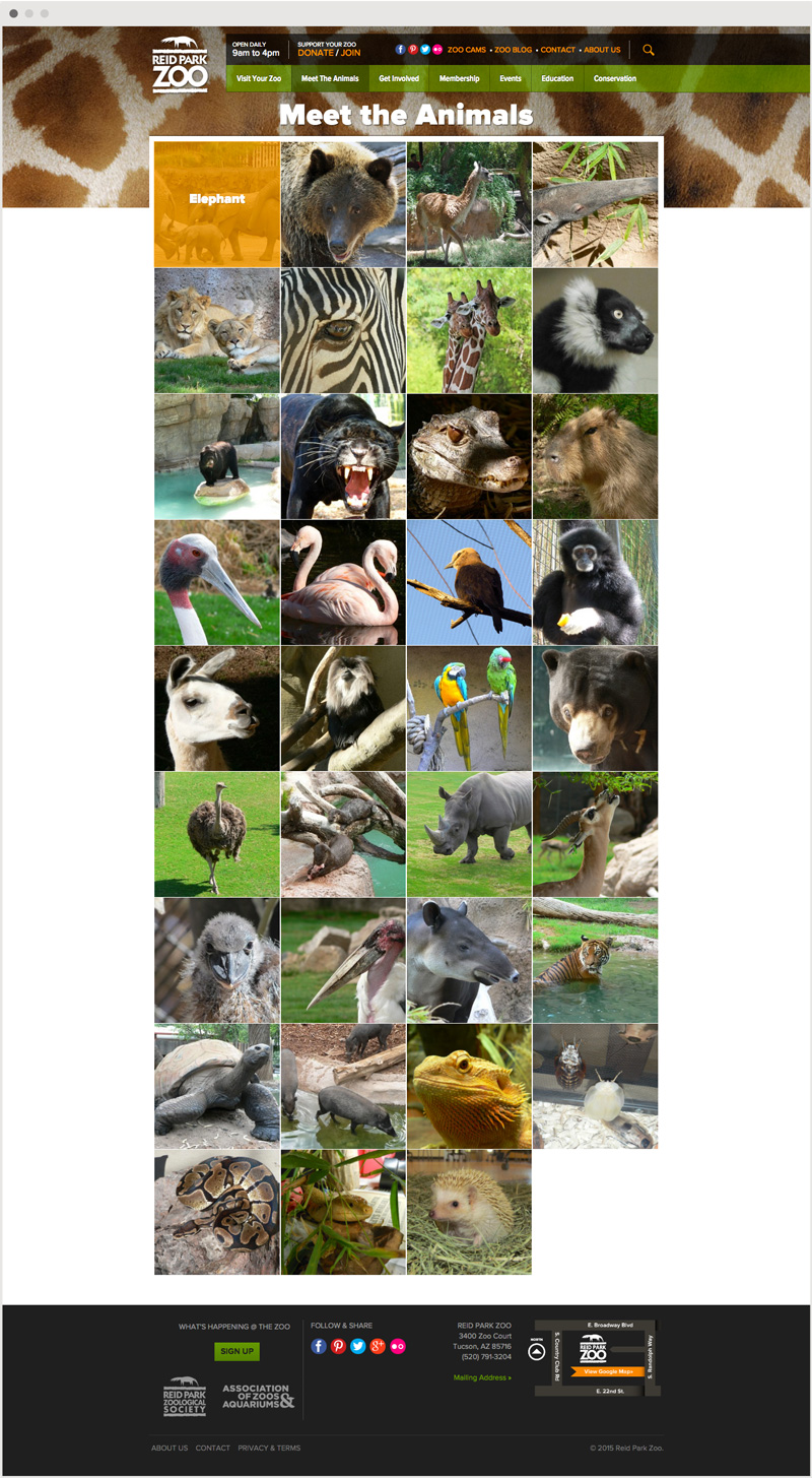 zoo_animals